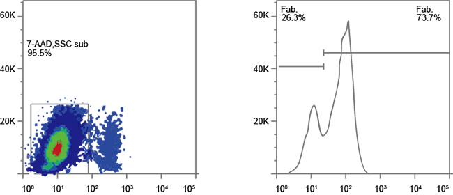 CAR-T03.png CAR-T03.png